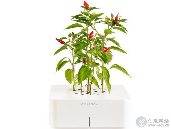 创意智能花盆的室内植物盆栽（二）