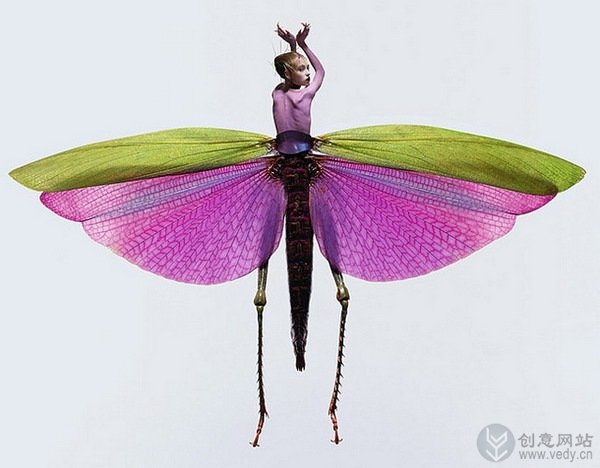 美女与昆虫的创意摄影照片