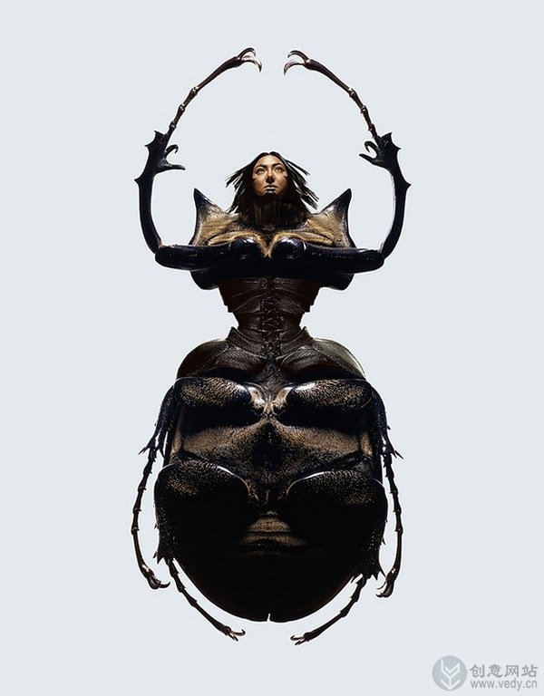 美女与昆虫的创意摄影照片