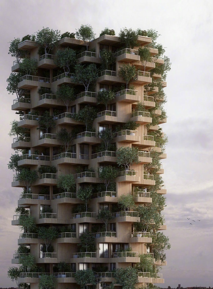 交叉复合木材的 “摩天树塔”建筑大楼